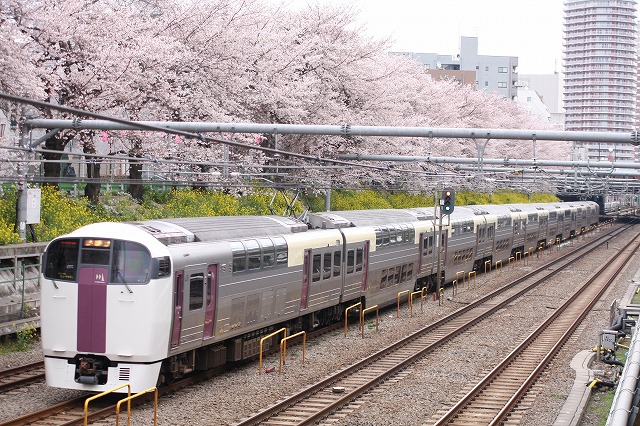 【4月4日】満開の東中野の桜の下を行く列車_b0002858_1324475.jpg