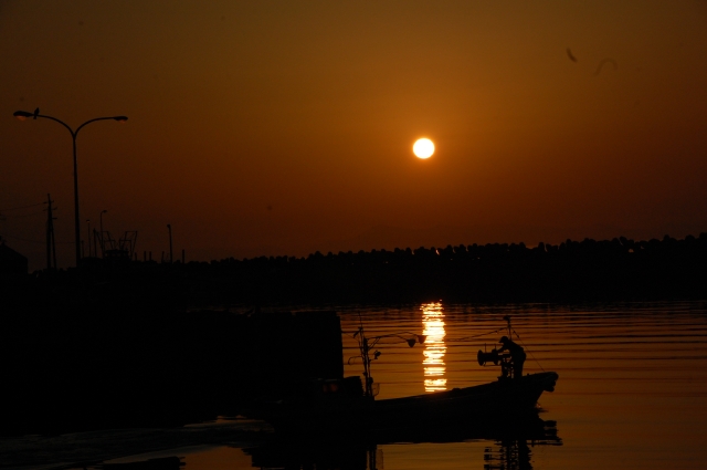 c0108460_22879.jpg