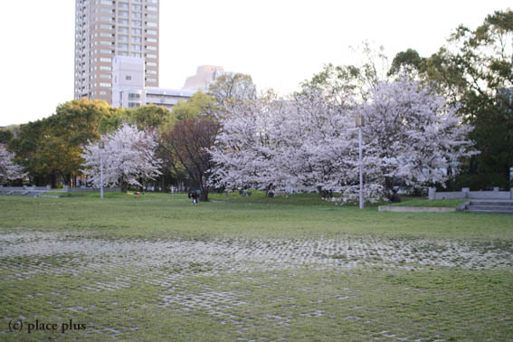 難波宮跡公園にて_b0107163_1525237.jpg