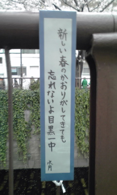 若い感性_c0162963_19265538.jpg