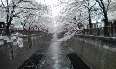 若い感性_c0162963_19265573.jpg