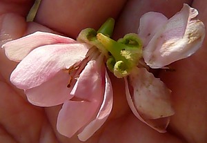 b0169765_16302760.jpg