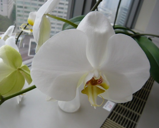 c0100865_6563921.jpg
