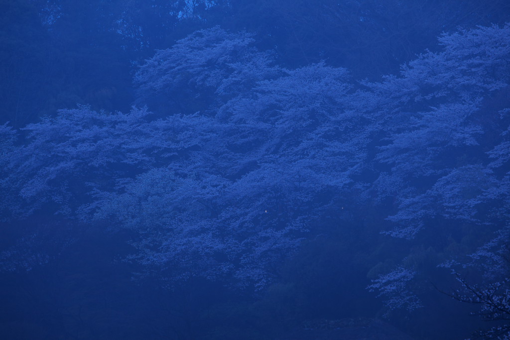 f0171065_22465731.jpg