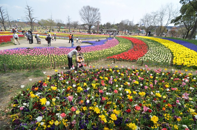a0115667_2341067.jpg