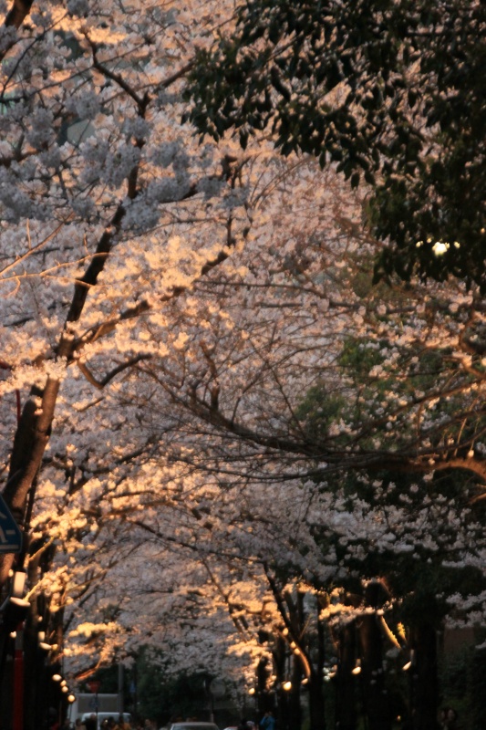 b0074377_23314975.jpg