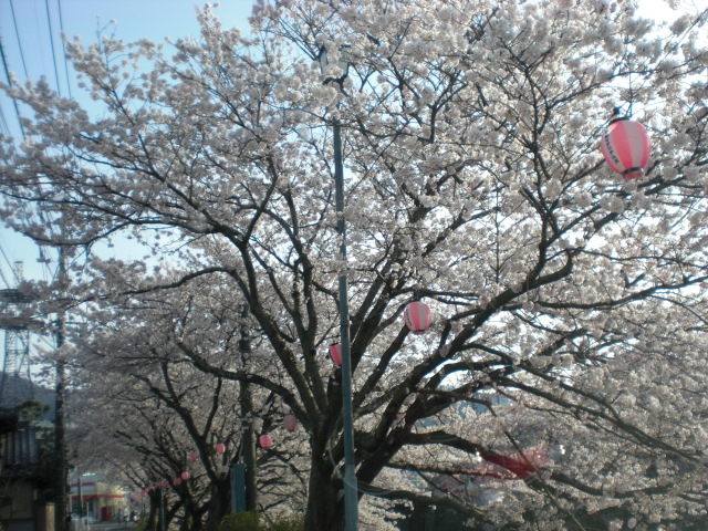 c0228378_8205276.jpg