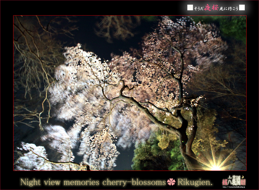 ★夜桜風情＃六義園★_c0159182_2371718.jpg