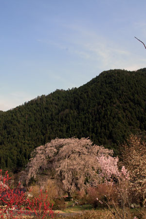 b0119190_21513575.jpg