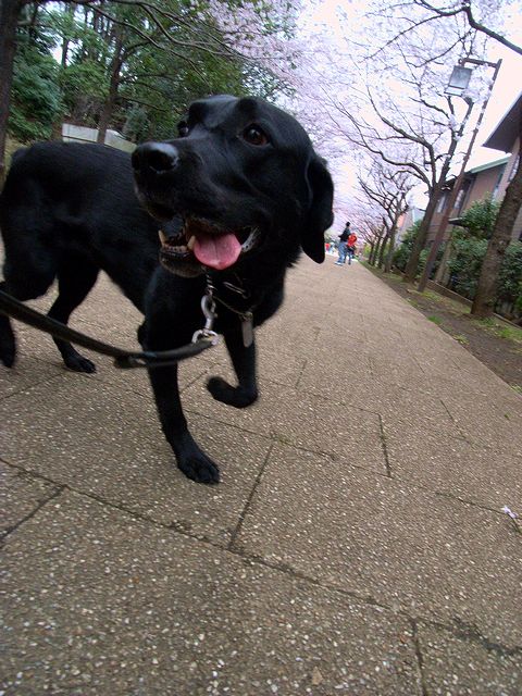 a0093592_2233367.jpg