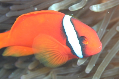 a0049693_2222663.jpg