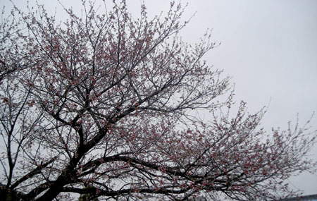 d0000995_22491636.jpg