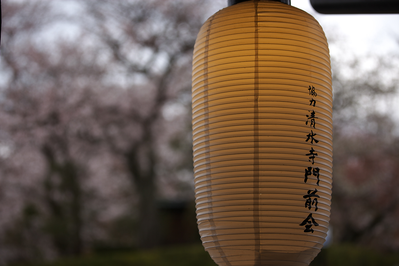 桜の饗宴・京都東山　2_e0017995_196493.jpg