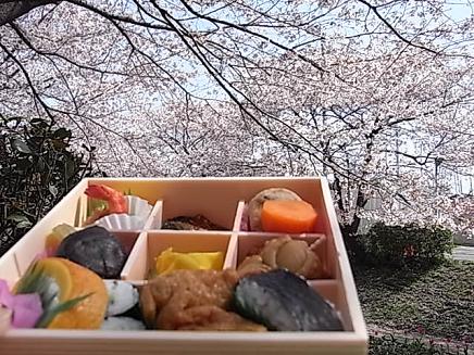 2010　お花見①　♪_b0105897_23115889.jpg