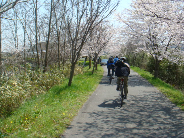 お花見サイクリング_c0132901_2055083.jpg
