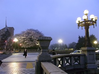 d0051601_0183420.jpg