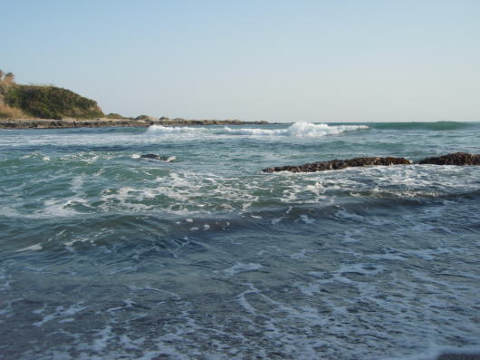 b0055202_14726.jpg