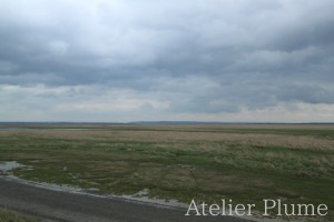 フランス旅行 モンサンミッシェル_e0154202_0144869.jpg