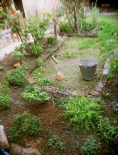 d0077603_921493.jpg
