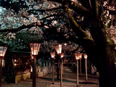 日枝神社　花まつり_d0149103_14311399.jpg