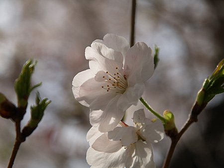 a0041508_16564328.jpg