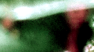 e0103408_11514129.gif