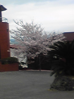a0160509_20453672.jpg