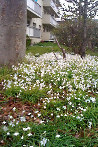 f0079110_205834100.jpg