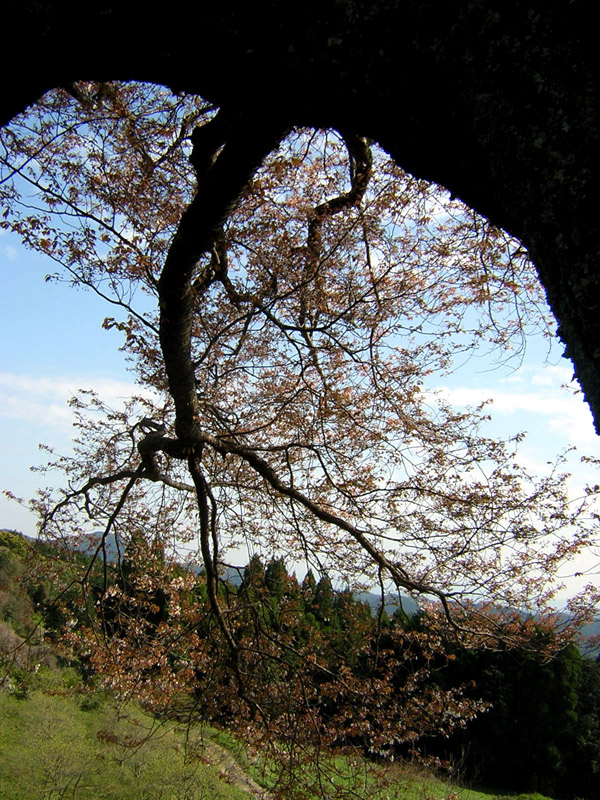 d0088611_231472.jpg