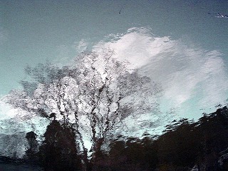 e0097512_1025398.jpg