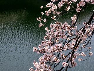 春始動 NO.178_c0102513_183643.jpg