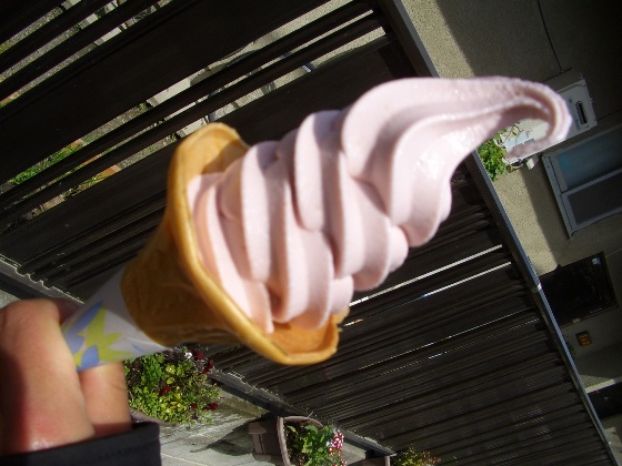 e0033713_1935658.jpg