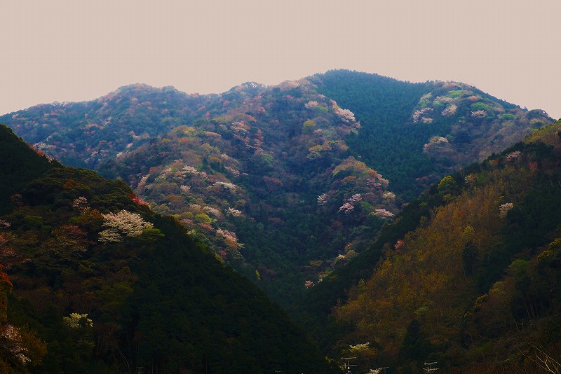 f0182513_23212810.jpg