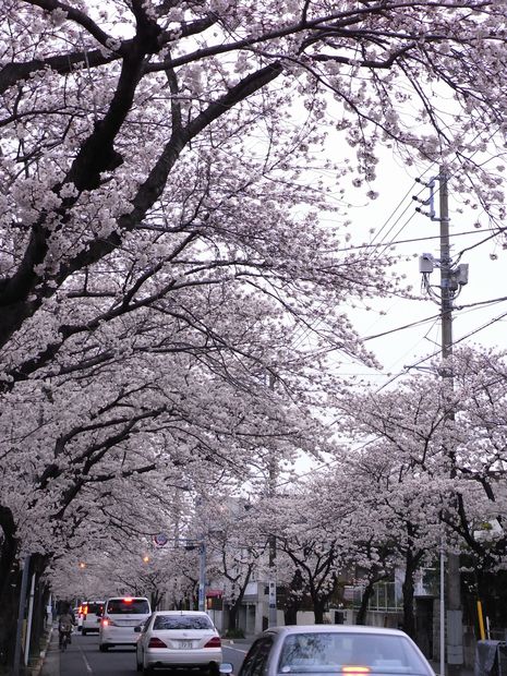 c0039114_21343469.jpg
