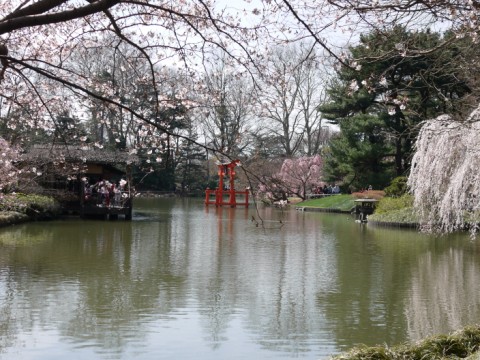 ブルックリン植物園の日本庭園_a0119715_1420514.jpg