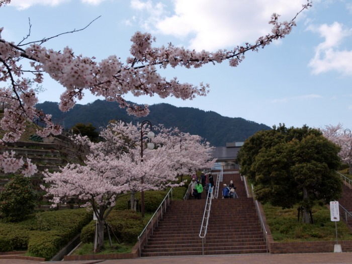 佐伯区運動公園_c0116915_23563544.jpg
