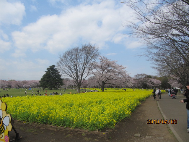 c0200916_21342193.jpg