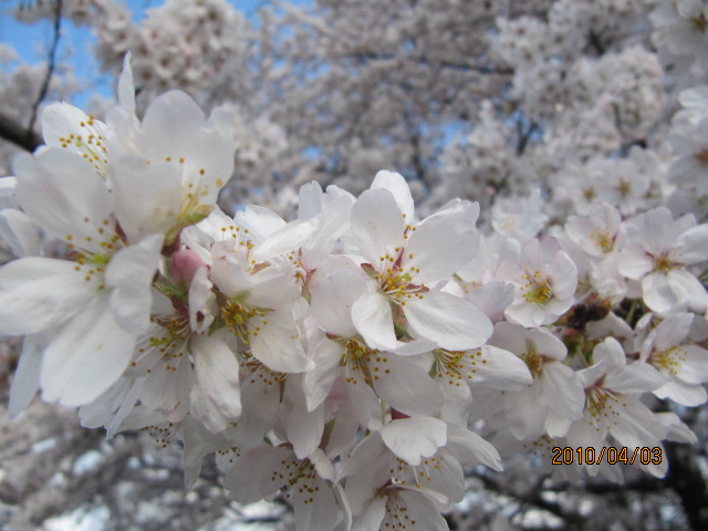 c0200916_21373018.jpg