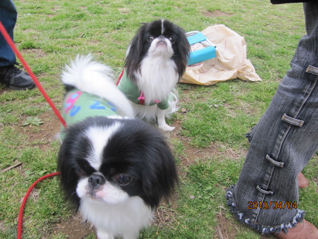 c0200916_22343972.jpg