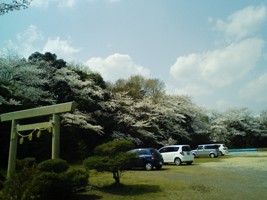 白髭神社を歩く④_a0138219_9515772.jpg