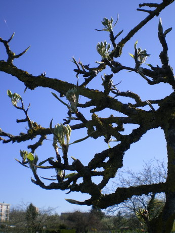 c0124619_534536.jpg