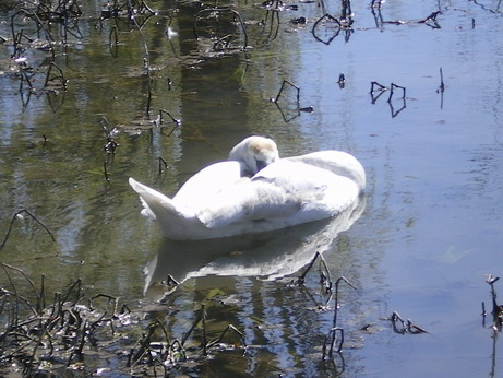 c0124619_55341100.jpg