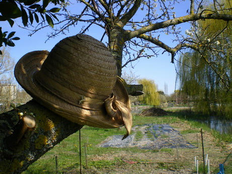c0124619_5544694.jpg