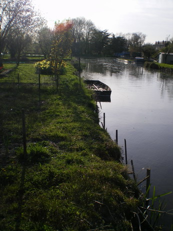 c0124619_557691.jpg