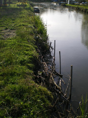 c0124619_5581881.jpg
