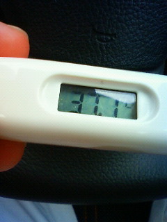 f0081619_1322795.jpg