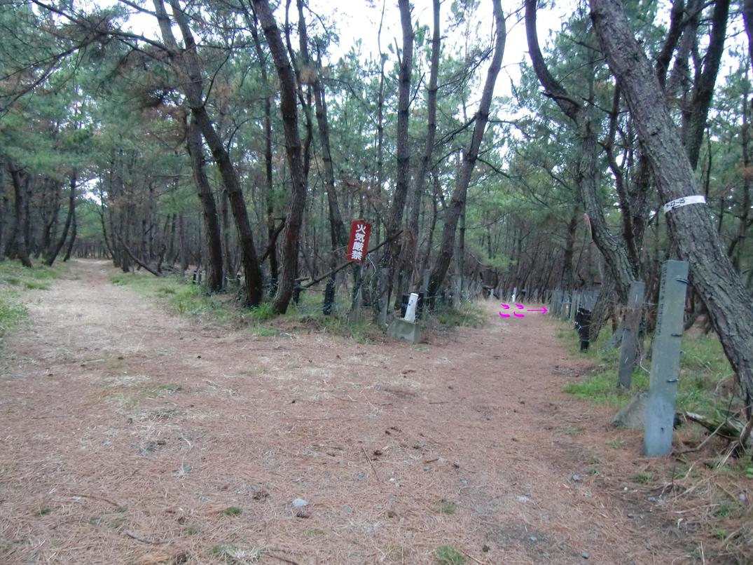 c0138720_21425654.jpg
