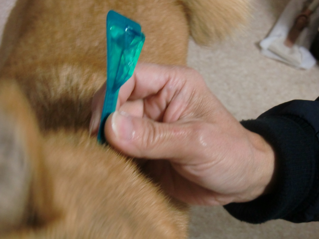 c0138720_21485445.jpg