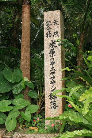 f0097620_20321080.jpg