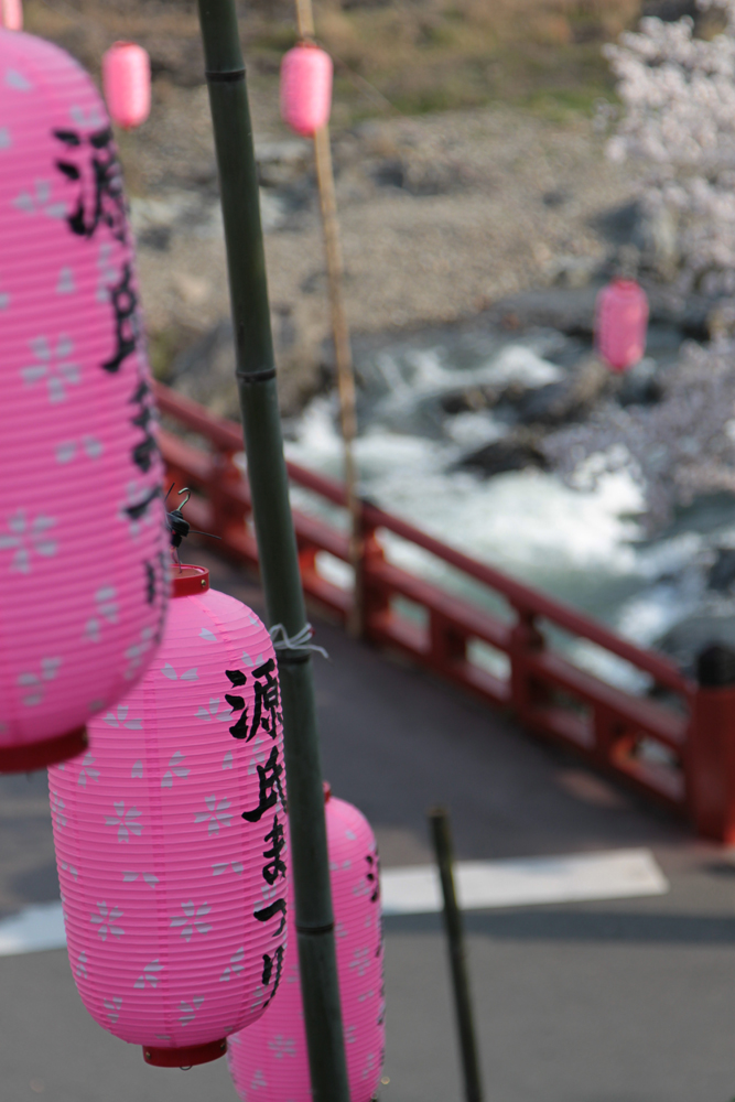 ＳＡＫＵＲＡ_e0190023_058511.jpg